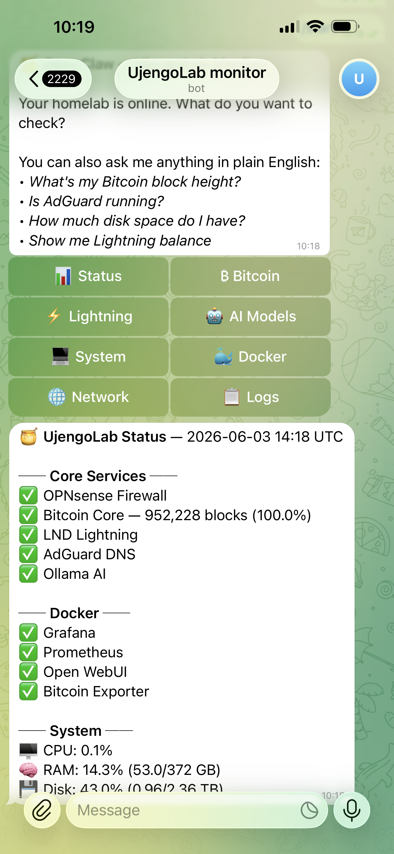 OpenClaw Telegram bot — status dashboard showing all homelab services green
