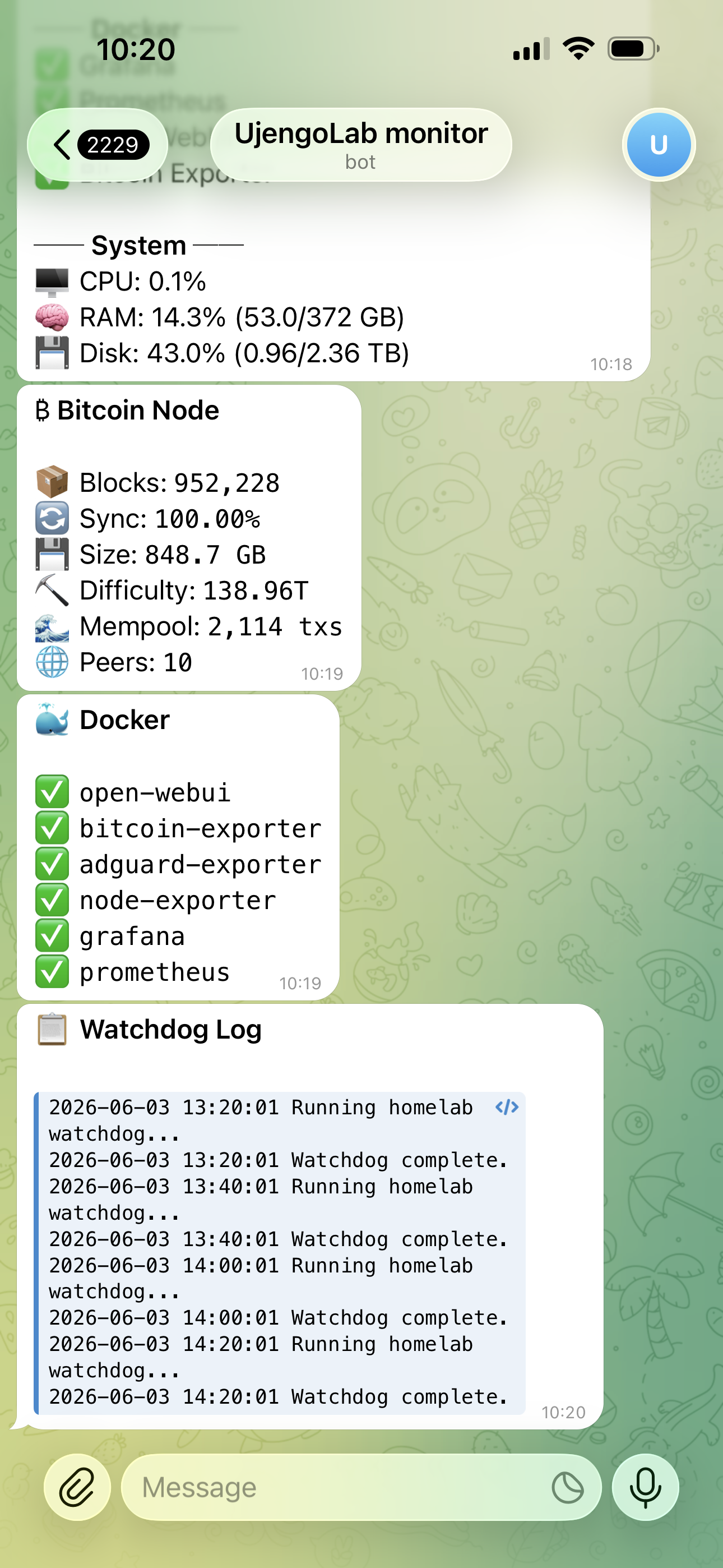 OpenClaw Telegram bot — Bitcoin node info, Docker containers, and watchdog log
